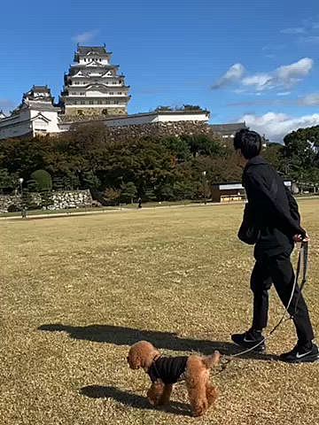 その後神戸南京町に立ち寄りましたが、姫路のドックカフェで食べたランチがボリューミー過ぎて全く食べ歩き出来ず痛恨の極み😓

パパさんが滋賀県大津のSAで551の豚まんが買いたいと言うので寄りましたが大行列💦💦
豚まんや焼売は玉ねぎたっぷりで私は食べれませんが、餃子には入っていないと教えて貰ったのでちまきと共に購入♪

前日18時過ぎに急遽決めた弾丸ツアーで下調べも全然出来ていなかったけど楽しかったです💗