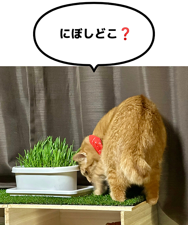 まーちゃん、片足落ちそうよ❓