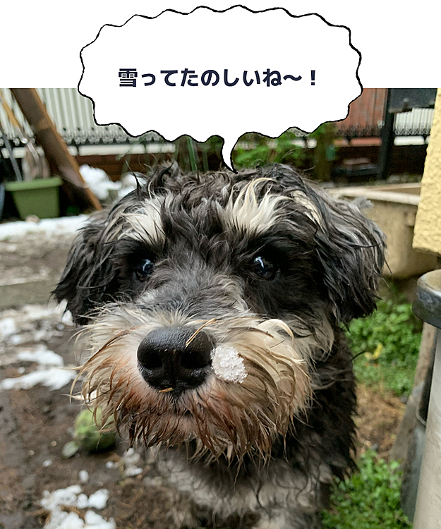 ドロドロ犬に変身😅
お風呂に入りま〜す💦