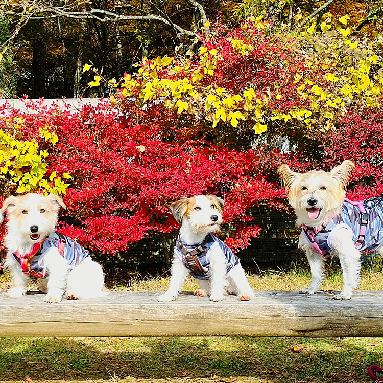 楽しかった♥️