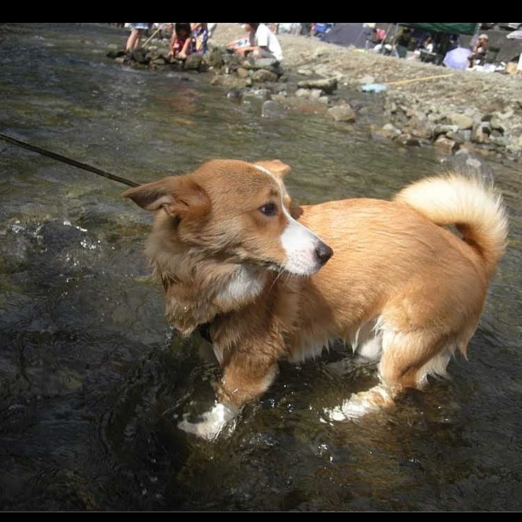 初めての川遊びは遊び方がわからなくて固まっちゃいました(笑)