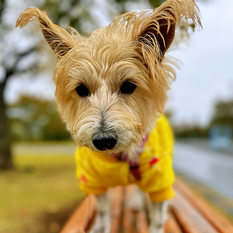 おはようございます😊
横浜は寒いよ*🥶💨*