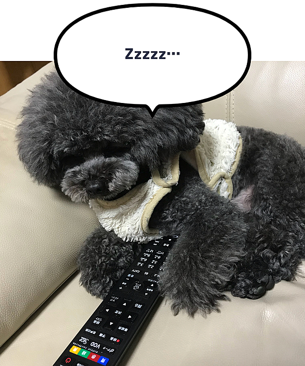 …と思ったら 寝てるし😓