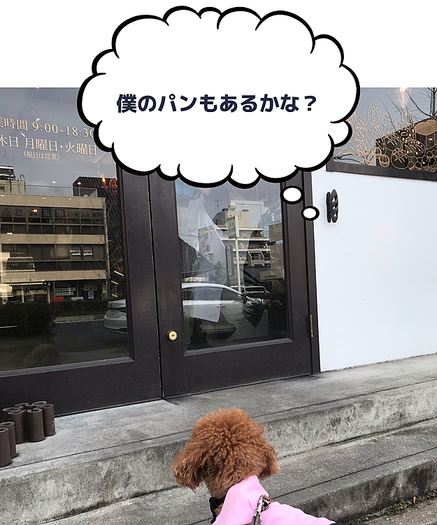 関東ではかなり雪が降ったみたいですが、ハッピー地方は朝から雨で☔️午前中には止みました❣️

近所のパン屋さんでパンを買い込み、いつも散歩で行く公園に行きました🥐🥖🥯
ここは名古屋でも有数の桜の名所で1500本ほとの桜の木があるようですが、まだ3〜5分咲きくらいだったので来週が見頃かな🌸


