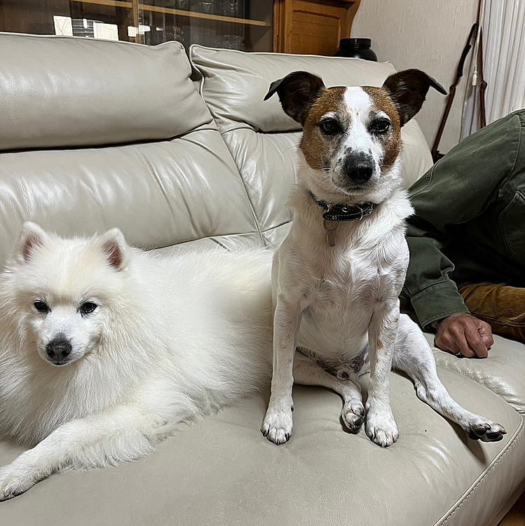 ママが、帰って来たので、みんなで、ウナギ犬の公園(石人の星公園)に行きました。