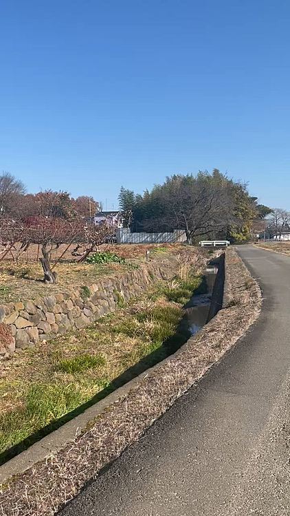 いいお天気☀️ 田舎道ノンビリ散歩です☺️