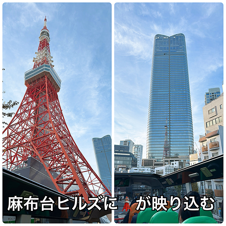 ライちゃんがトリミング中に友達とランチして、時間が余っているので「はとバス」に乗ってきました。
２階で屋根がないのでレインボーブリッジをぐるんと回るときは、遊園地のアトラクションみたいでテンションあがりました😆
カーブはちょっと落ちそう💦みたいな感覚うひゃー。

