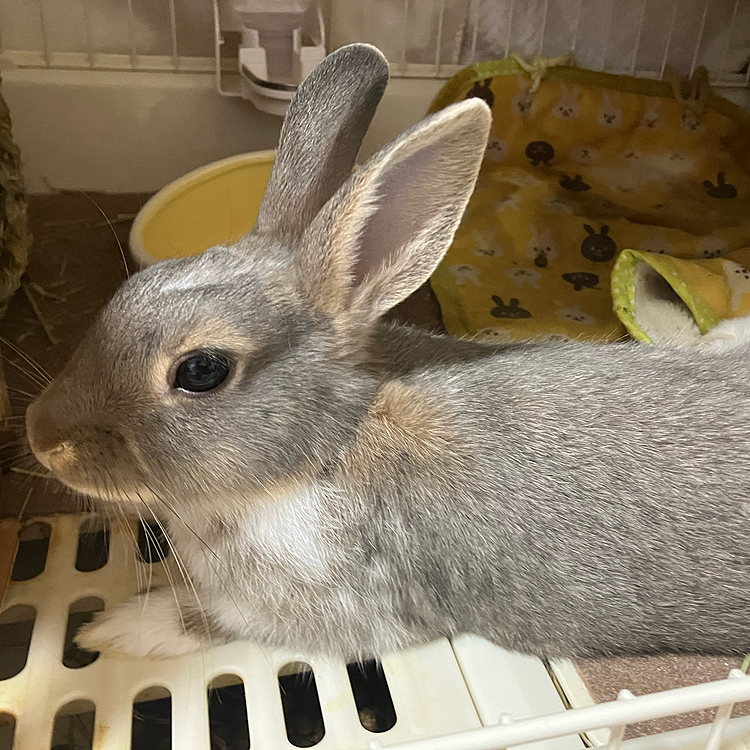 今日は、1階で寝ていました💦