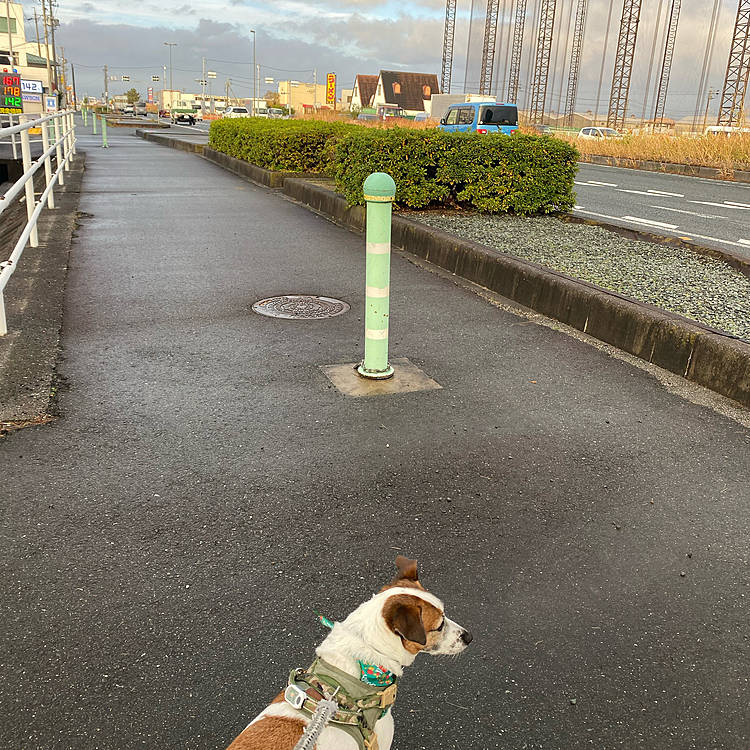 向こうの空、晴れてきだして、、