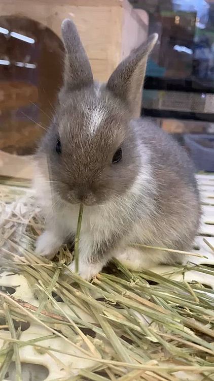 小さい頃から食べるのが大好きなあめちゃんですね💕