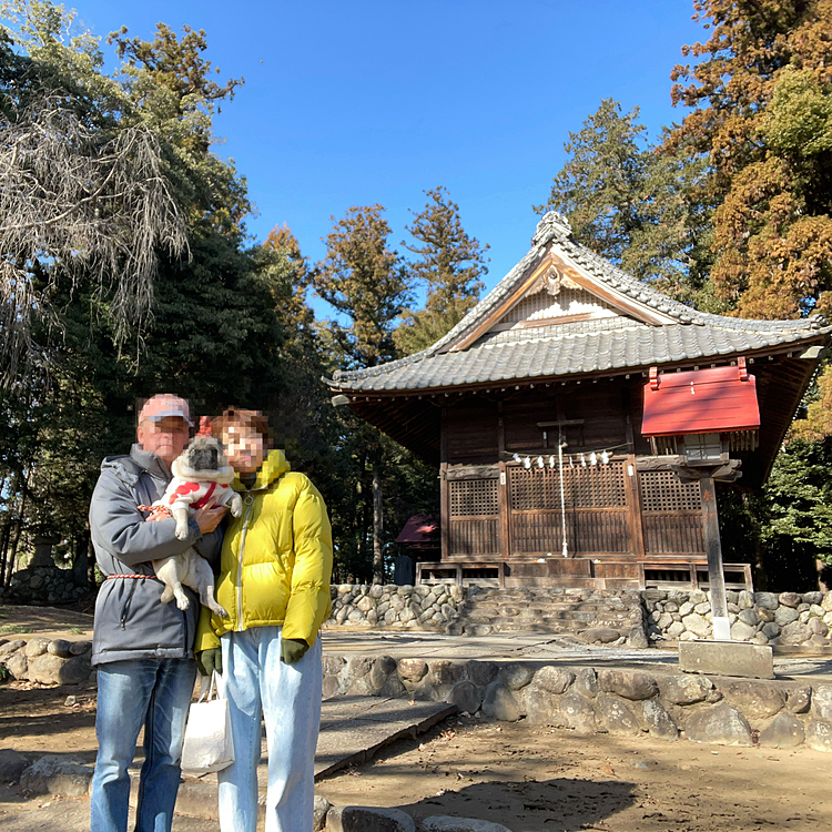 ししまる家風が強い中、いつもの神社へ初詣⛩️🐾
