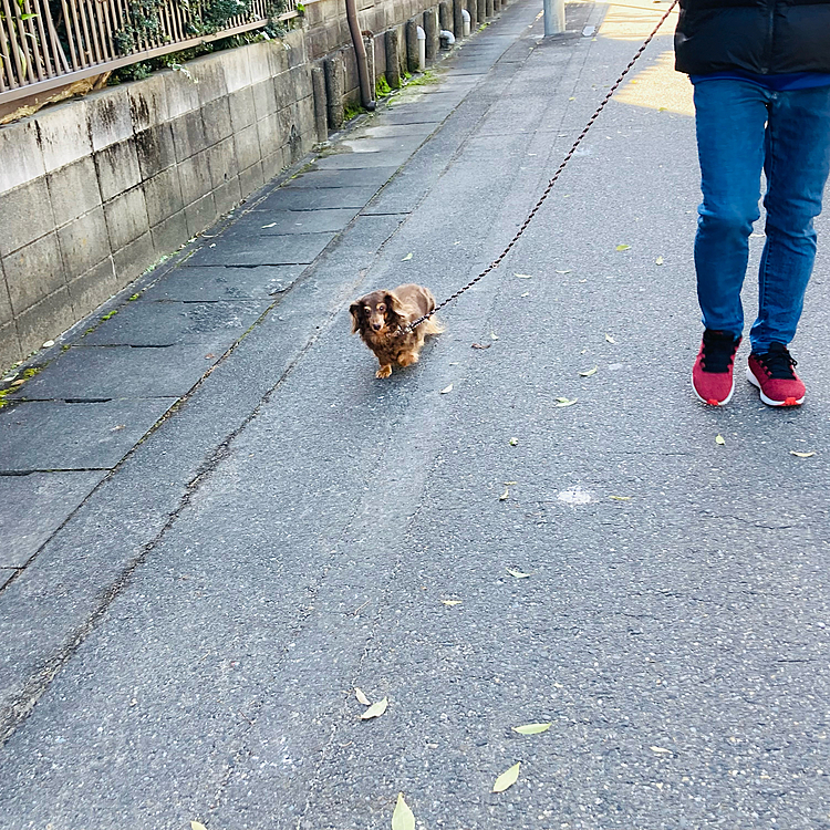 嬉しそうな空ちゃん^_^
