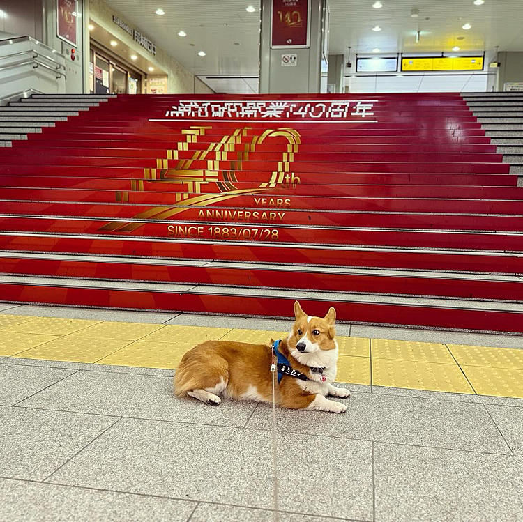 初売り情報を得ようと駅までお散歩🚶
誰も居ない駅も新鮮ですね。