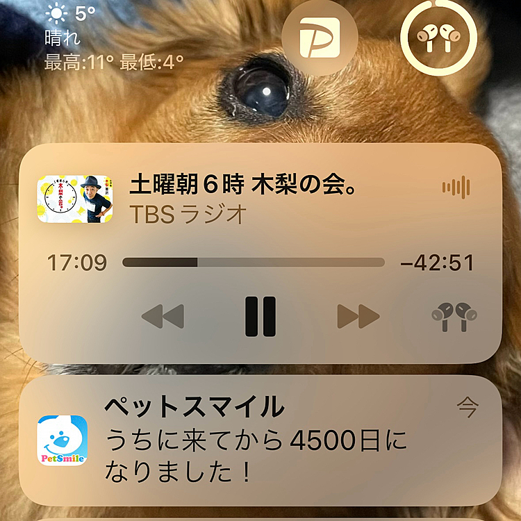 あけましておめでとうございます🎍
他のペットアプリからのお知らせですが…ウチのココﾁｬﾝ🐶何とウチのワンコとなってこんなに日数が経過したらしいです💡
たまにこぉいうお知らせが来るとなんかしみじみ振り返りたくなりますねぇ☺️☺️☺️
今年も気まぐれな投稿になりますがココﾁｬﾝ🐶共々よろしくお願いします🤗🤗🤗