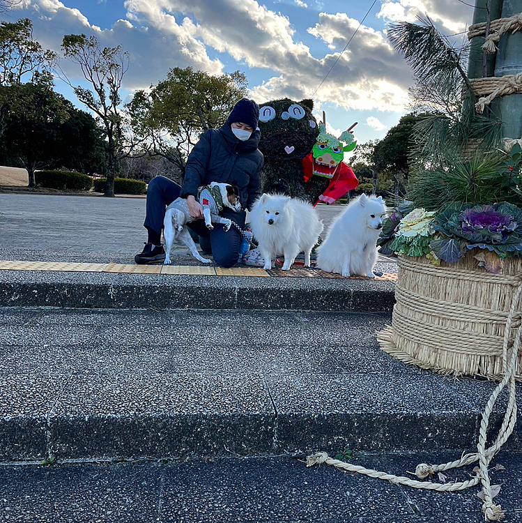 昨日は、ハッピー、ピースといつもの公園へ
ウナギ犬獅子舞持ってる