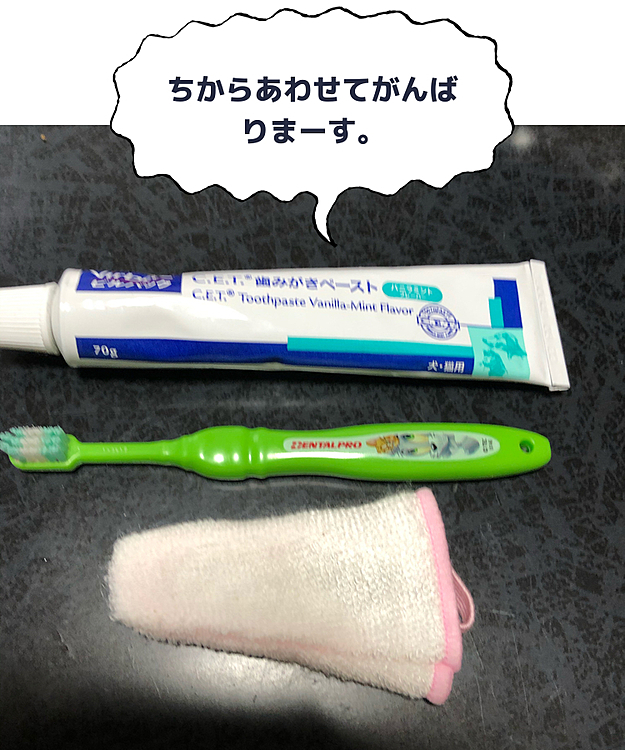 毎日二回の歯磨きセットです。
歯磨き難しいなぁー。😂❤️