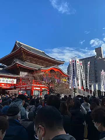 2日は朝から鼻水が出てどうやら風邪気味🤧

午前中はハッピーにはお留守番してもらい祖父母の納骨堂へのご挨拶と初詣に行きました🙏

帰宅し近所のお寺までお散歩がてら参拝してきました🐶

参道に看板犬を発見💡
とても大人しく人懐っこい柴ちゃんは保護犬だそう🐕

夕方には段々鼻が詰まってきたので口呼吸しか出来ず辛くなってきました😢

3日は完全に寝正月💤
ゆっくり身体を休め体調も回復しました♪