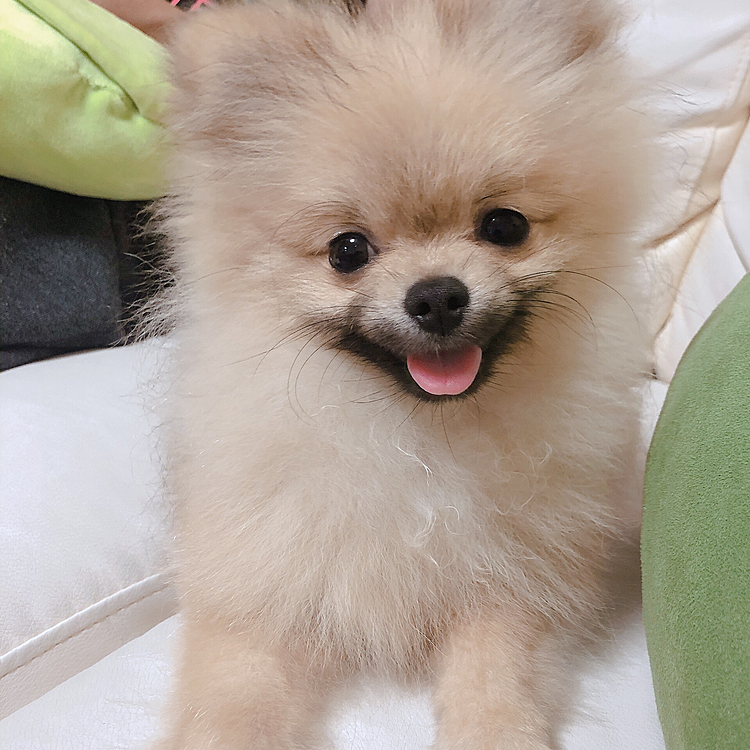 笑顔が可愛い❤️