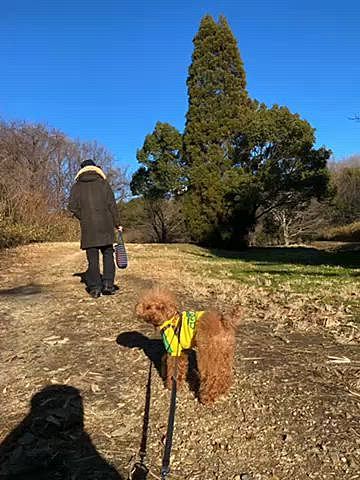 8日（月）
連休最終日は近所の里山へホットドリンクとオヤツ持参してのんびり散歩🐶
いつも行かない

自転車や車の心配をせずにゆっくりお散歩出来る場所が好きです🐾