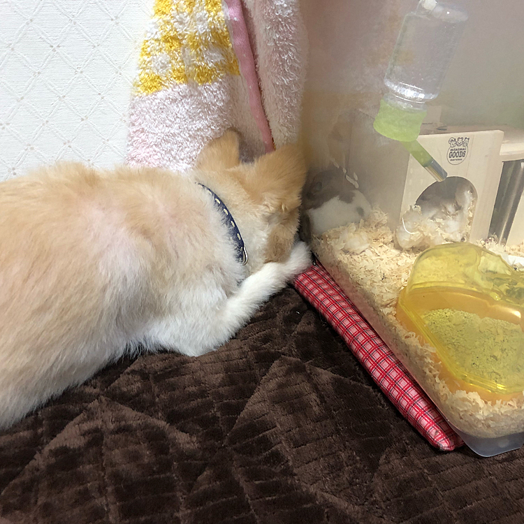 近い！(゜▽゜)