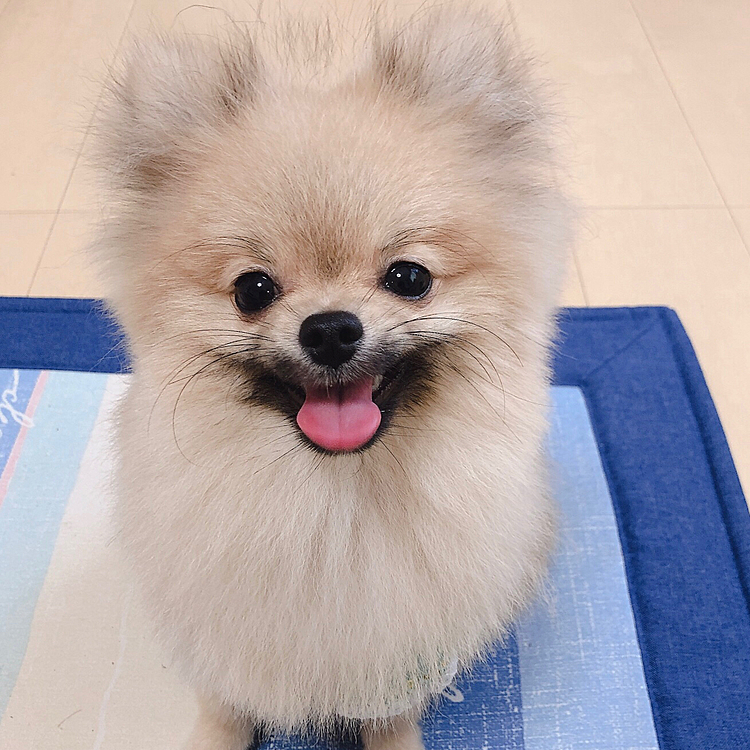 笑いかけてるよね？💕
親ばかかな？笑

