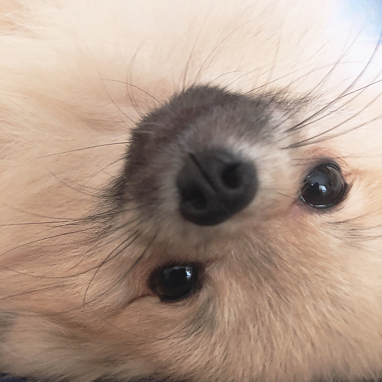 と、思っても微笑み返しちゃう🥰❤️