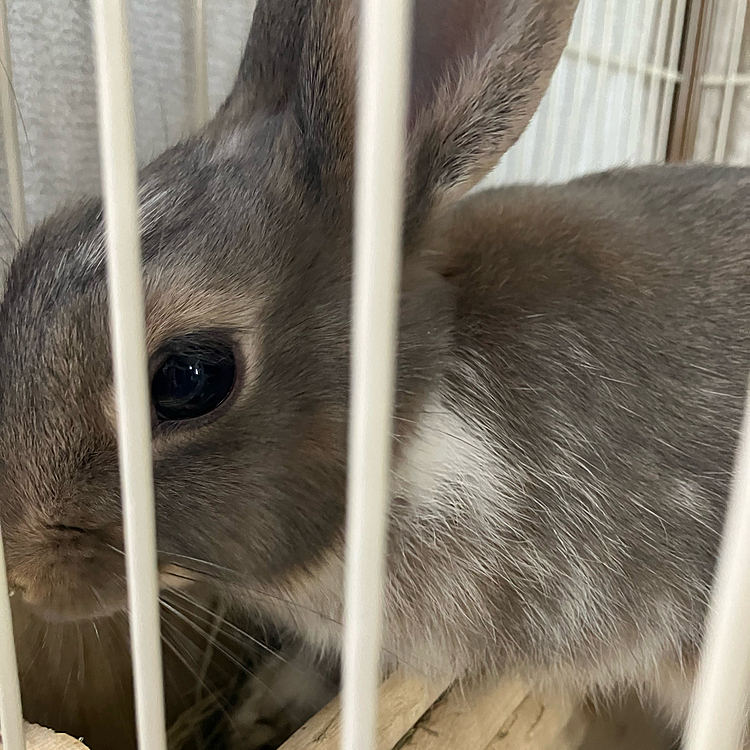 不思議な食べ方をしているあめちゃん🤭
なんで手を突っ込んで食べているの😅