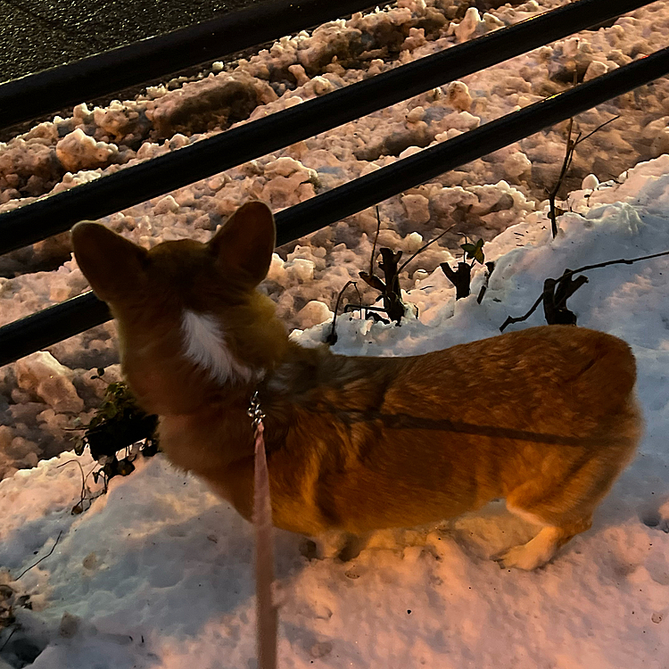 am5:15  誰もいないね〜🐾

寒いから、暖かくしてねᵕ̈*