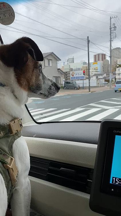 いつもの帰り道2