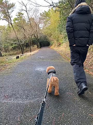 連休初日は雨上がりでしたが池のあるの緑地公園へ🐾
なるべく舗装された道を歩いて池をぐるっと1周楽しみました🐶

連休最終日は終日雨なので家でマッタリ💗
頭に角が生えてると思ったら次は毛が3本になってた🤣🤣
飽きさせない男です♪