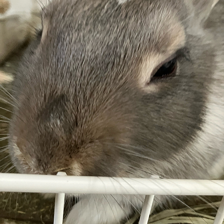 こんにちは♪
あめちゃんは、まつ毛が長い為、とても綺麗な顔立ちです😍