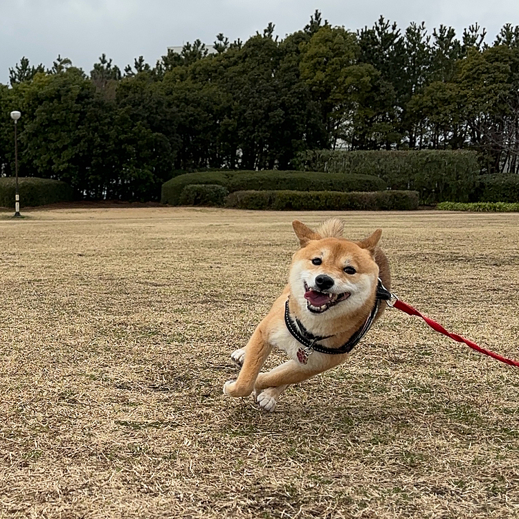 楽しそうで嬉しい✨