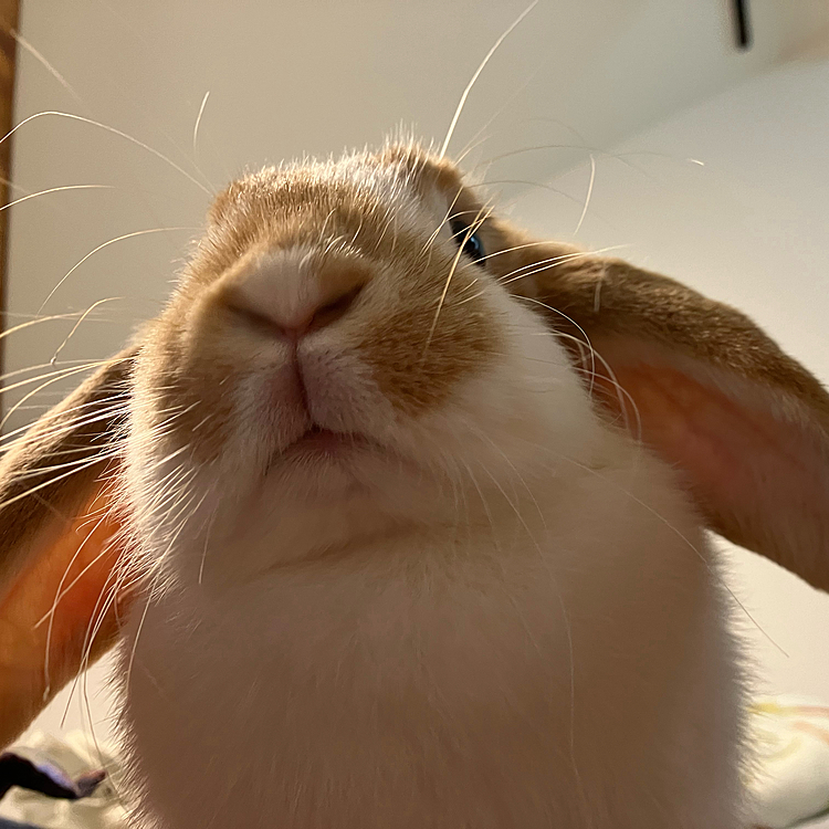 主の上で天下を取っています☝️