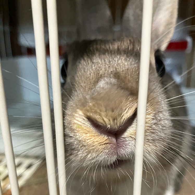 こんにちは♪
あめちゃんの鼻水は段々治ってきました🙌