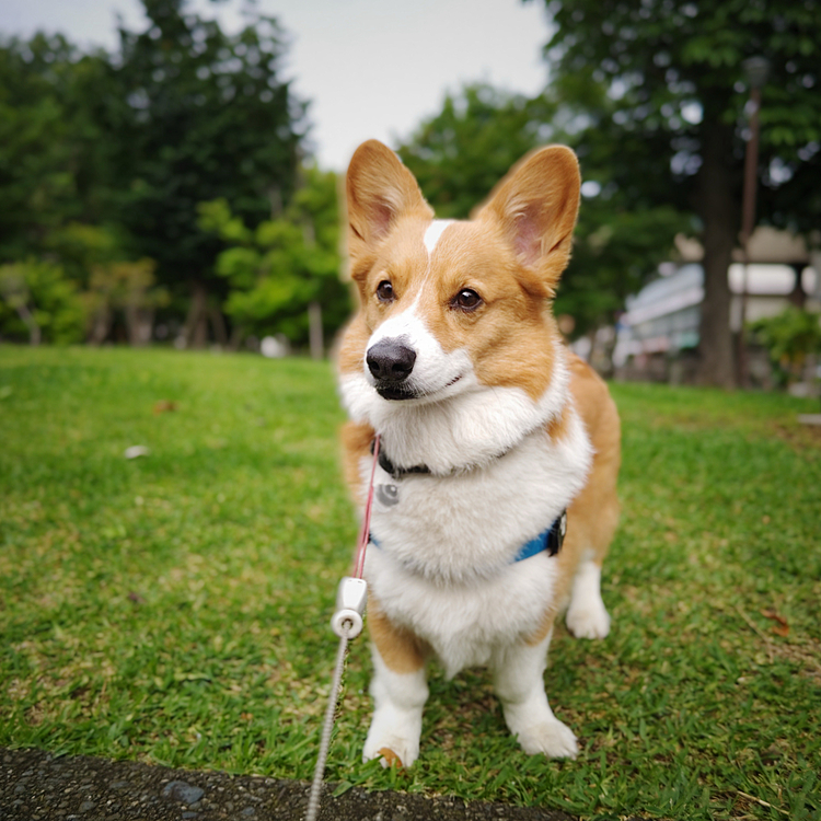 カメラが好きでないので、微妙に目👀逸らしますね。とり過ぎたかな？!