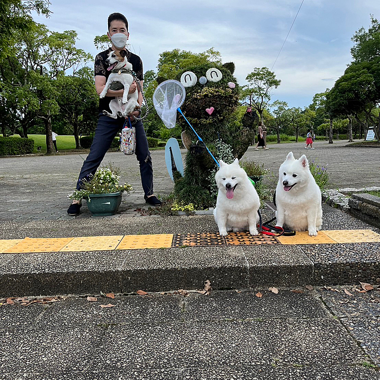 暫くしていつもの公園へ