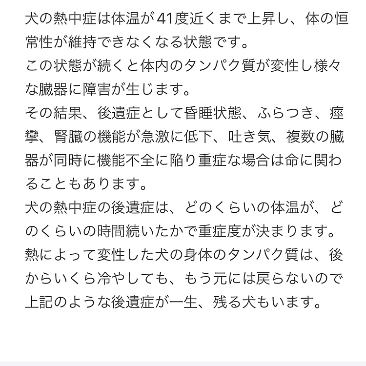 パパさんはハッピーも連れて行くと直前まで言っていたのでジェルマット買ったり準備しましたが、↑↑SNSで熱中症の後遺症の記事を見てやはり留守番して貰いました🐶

11時に義兄宅へピックアップ希望と言われ暑い時間帯だし近い駐車場が埋まっていたらかなり遠い場所になるし、私達夫婦と甥で姉妹のお世話なのでこちらも熱中症や怪我などさせる訳にいかないので留守番で正解だったかな😉