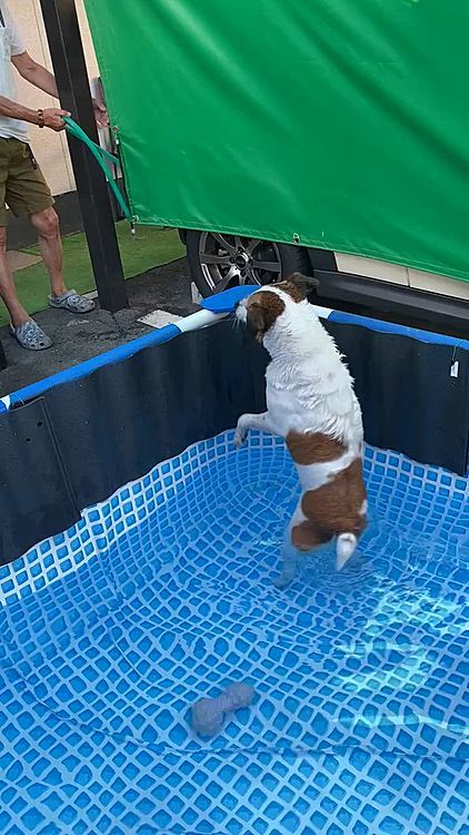 水足りないよ
と必死のアピール💦