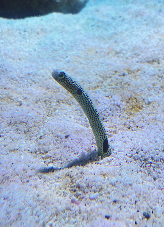 水族館に🐟いったよ〜
