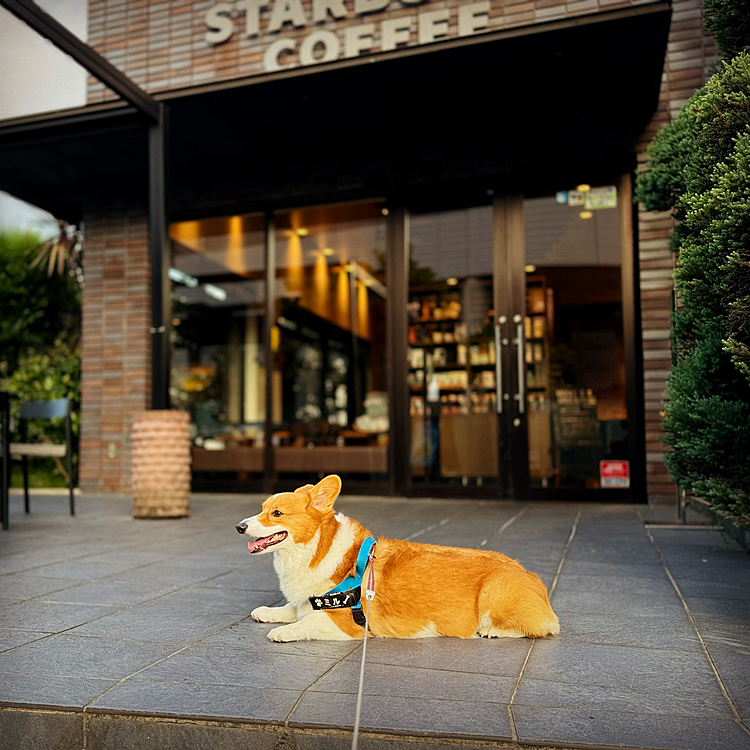 まだまだ暑い💦
カフェ☕️で一休みと目論みましたが開店前で残念😢