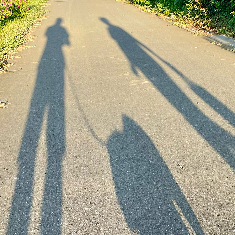 一家3人で早起き散歩です🐾