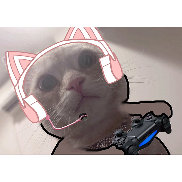 ゲーム猫