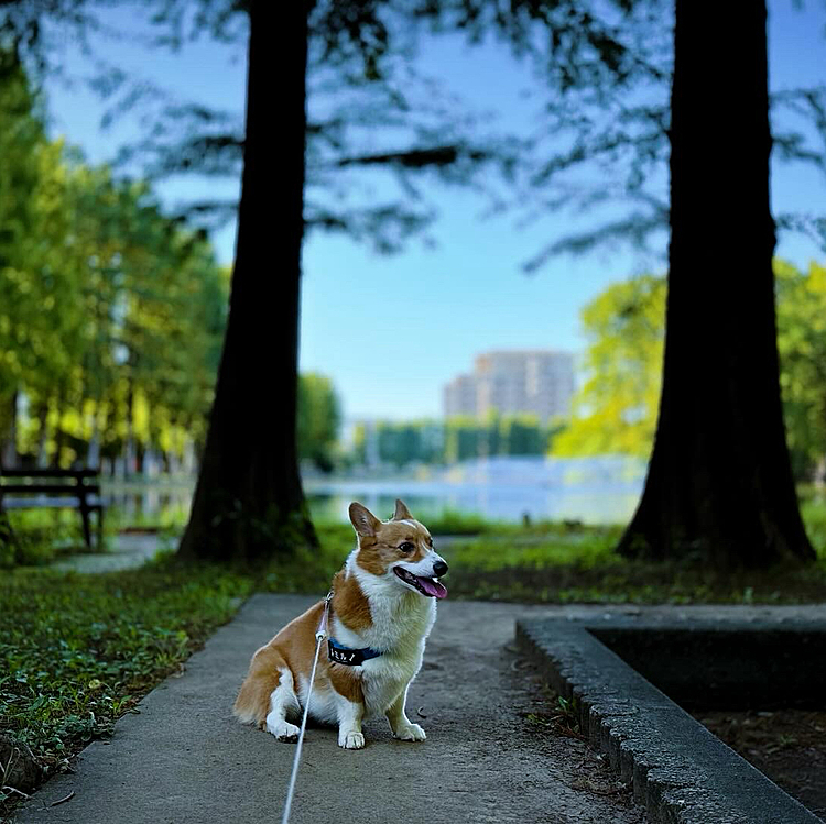 空は秋ぽくなってきましたが、日差しは真夏。