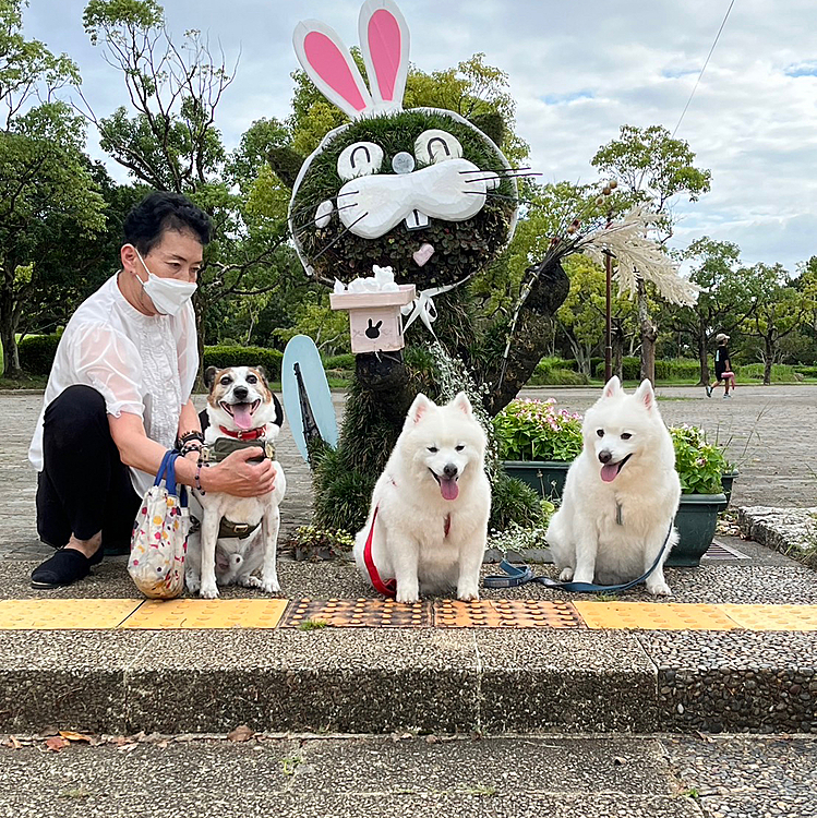 今日は、お月見ウナギ犬🐶