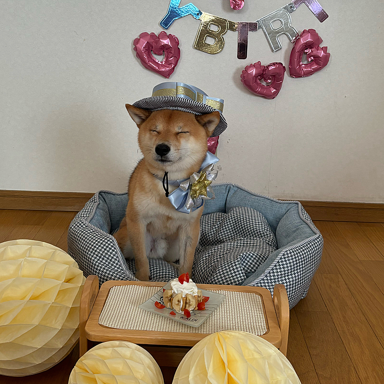 櫂の好きなさつまいも🍠やヨーグルトなどで作ってみたケーキ🧁
うまくできなかったけど美味しそうに食べてくれました☺️