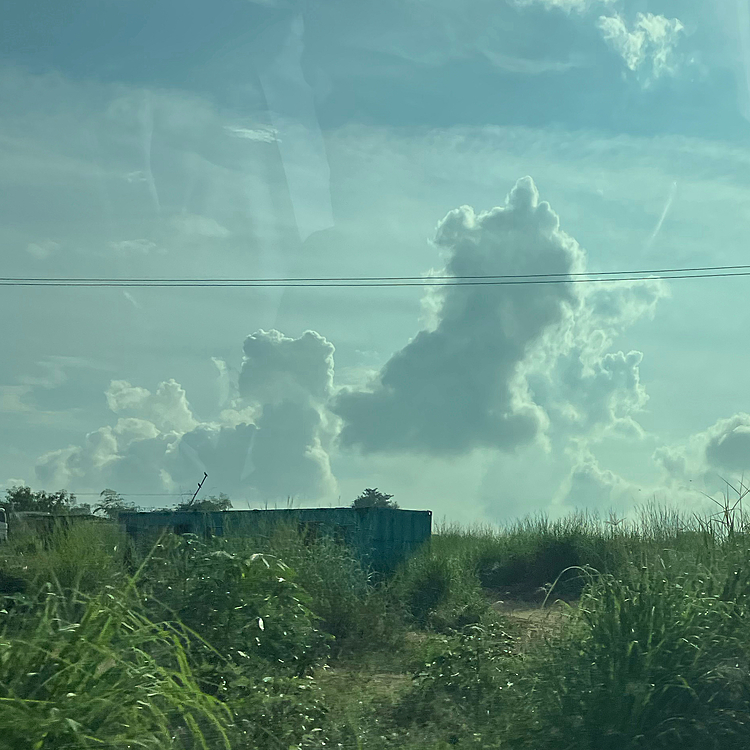 通勤途上親子の猫の雲見つけました。