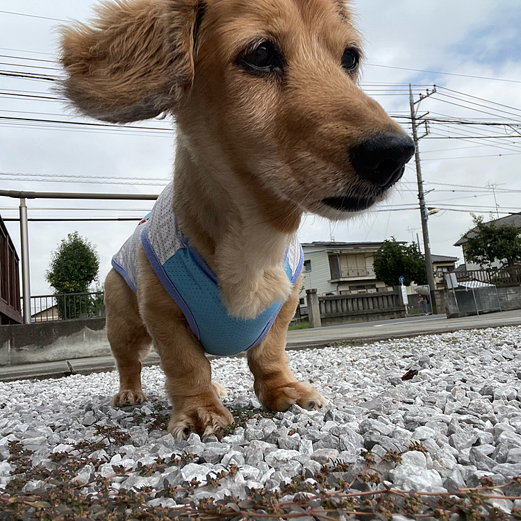 まだまだシャカシャカ歩きますよー！
凛々しいでしょ👍🏼