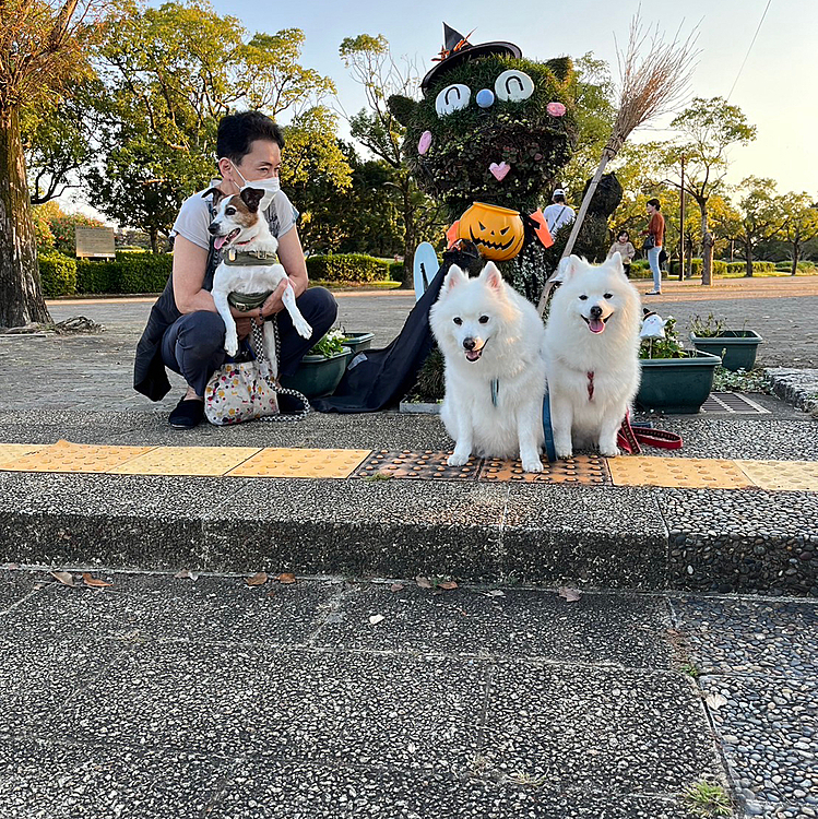 昨日も行った公園にハッピーとピースと、、
勿論、ウナギ犬はハロウィン🎃