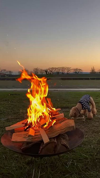 雰囲気を出すつもりで、スロームービー🔥

ゆらゆらの炎を見てると何故か落ち着きます🔥