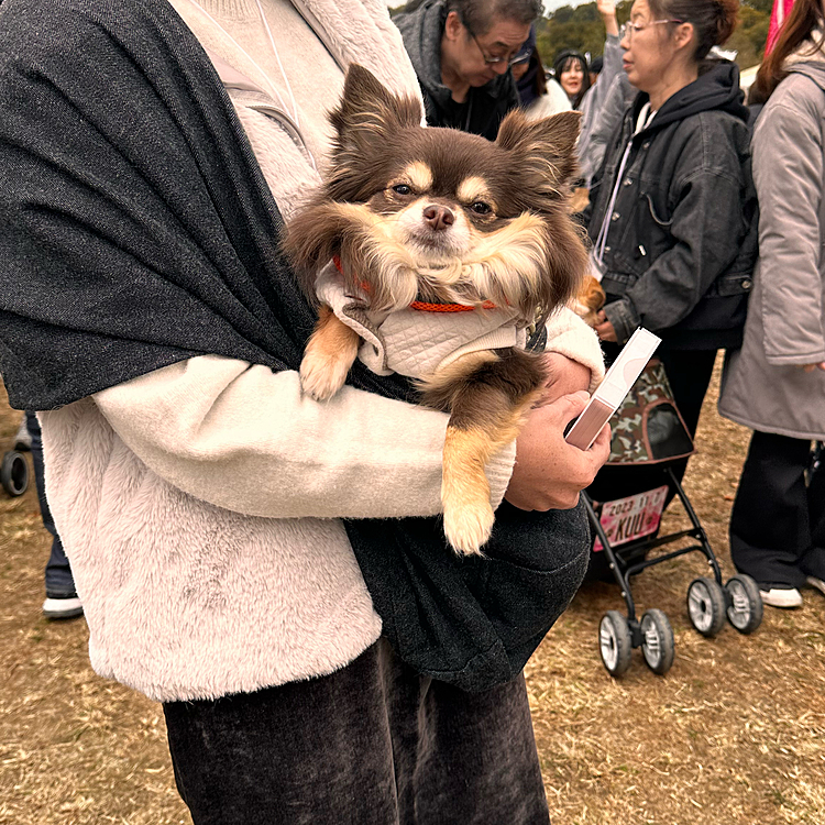 スリング大好きなまるちゃんです〜🩷